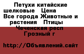 Петухи китайские шелковые › Цена ­ 1 000 - Все города Животные и растения » Птицы   . Чеченская респ.,Грозный г.
